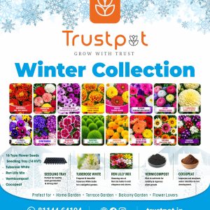 WINTER COLLECTION Complete Flower Gardening Kit