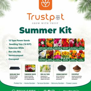 Summer Kit – Complete Flower Gardening Starter Kit