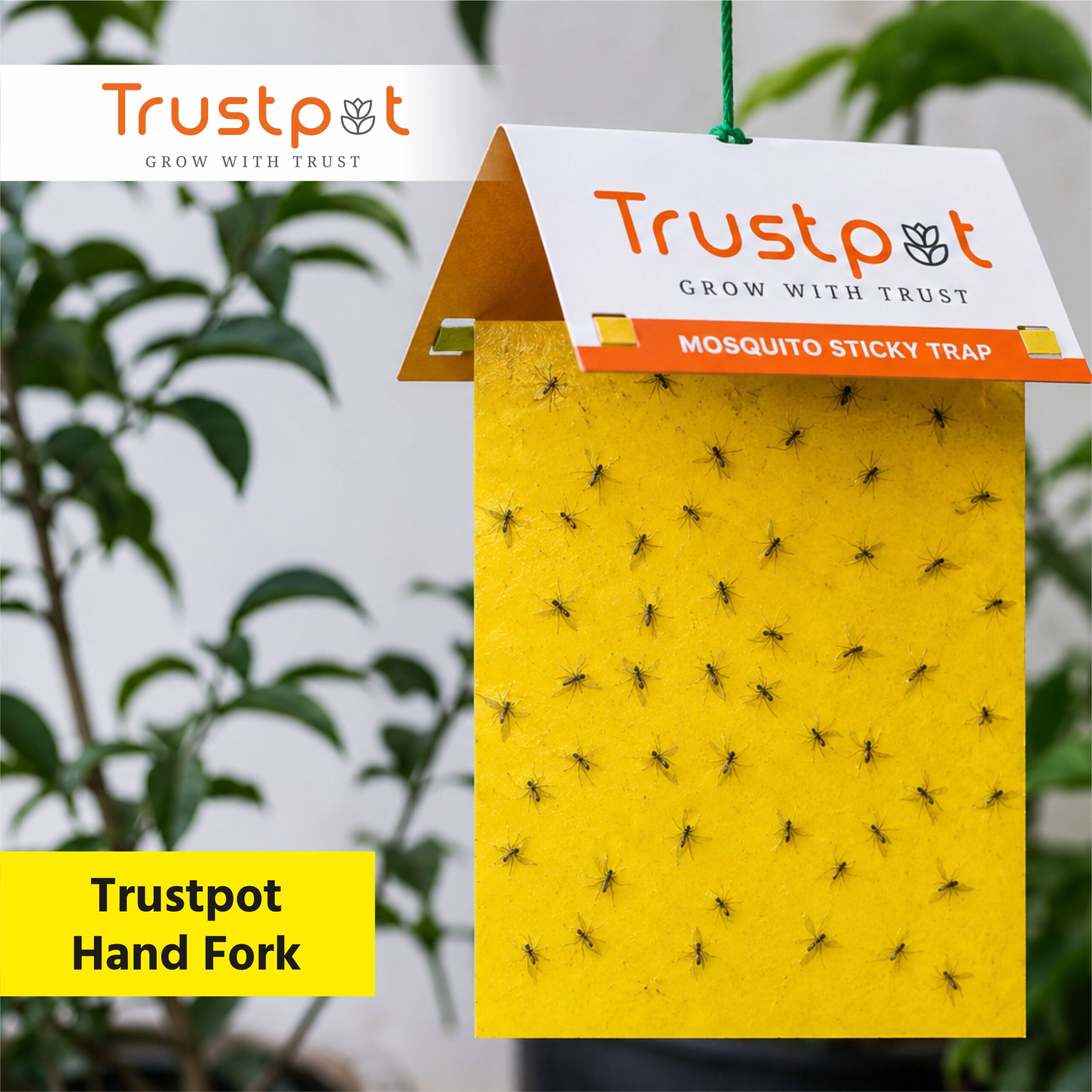 # Mosquito Sticky Trap – Effective & Easy Mosquito Control