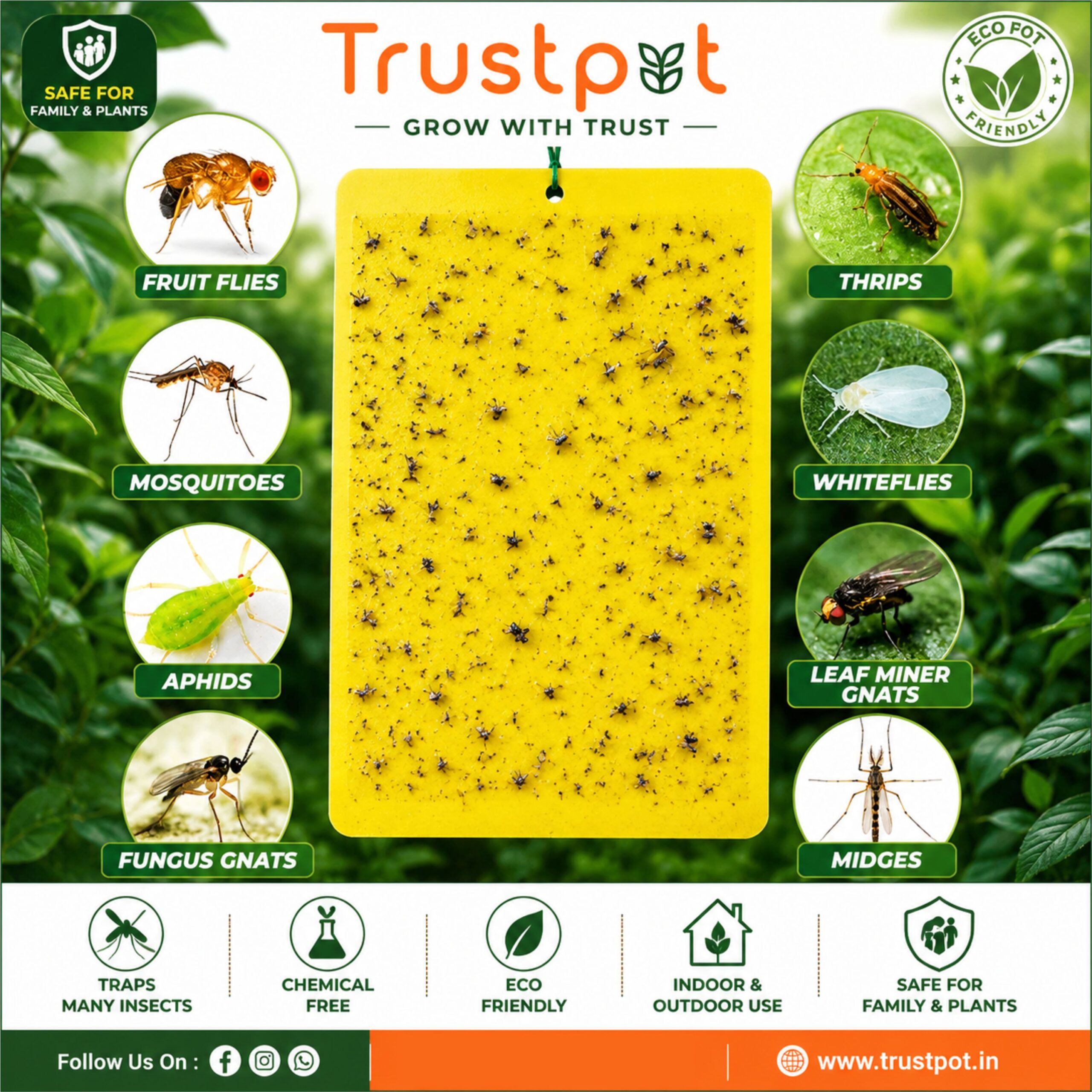 # Mosquito Sticky Trap – Effective & Easy Mosquito Control - Image 2